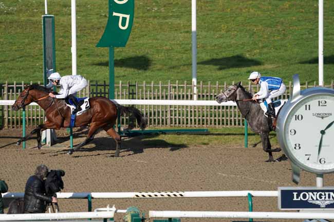 Photo d'arrivée de la course pmu PRIX DE LA SEIGNEURERIE à CHANTILLY le Mercredi 6 novembre 2019