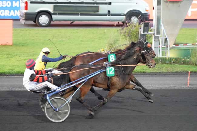 Photo d'arrivée de la course pmu PRIX DE COGNAC à PARIS-VINCENNES le Jeudi 7 novembre 2019