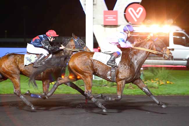 Photo d'arrivée de la course pmu PRIX SOPHIA à PARIS-VINCENNES le Vendredi 8 novembre 2019