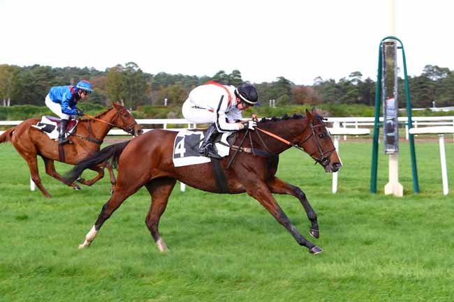 Photo d'arrivée de la course pmu PRIX DU MONT USSY à FONTAINEBLEAU le Vendredi 8 novembre 2019