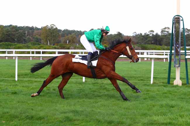 Photo d'arrivée de la course pmu PRIX DU SIMPLON à FONTAINEBLEAU le Vendredi 8 novembre 2019
