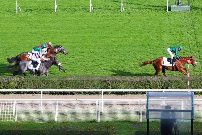 Photo d'arrivée de la course pmu PRIX ANTIVARI à SAINT-CLOUD le Samedi 9 novembre 2019
