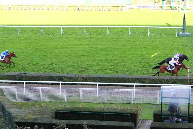 Photo d'arrivée de la course pmu PRIX DENISY à SAINT-CLOUD le Samedi 9 novembre 2019