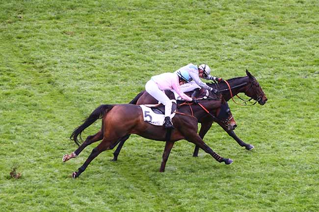 Photo d'arrivée de la course pmu STEEPLE-CHASE NATIONAL DES ANGLO-ARABES à AUTEUIL le Dimanche 10 novembre 2019