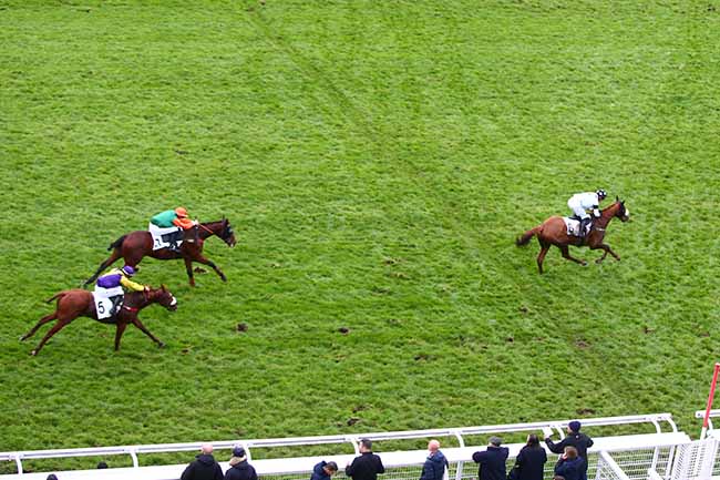 Photo d'arrivée de la course pmu PRIX MARC ANTONY à AUTEUIL le Dimanche 10 novembre 2019