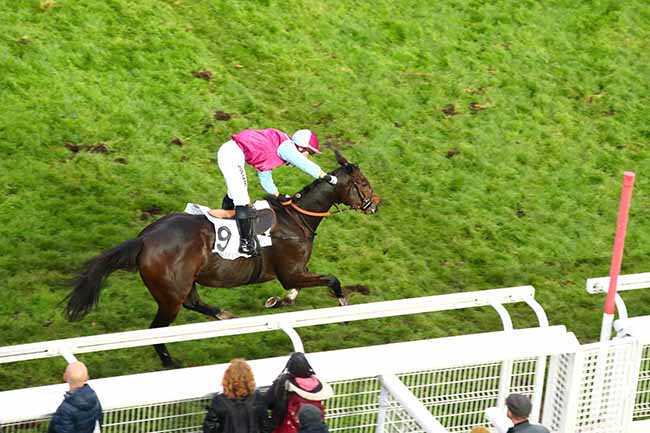Photo d'arrivée de la course pmu PRIX RENAUD DU VIVIER - GRANDE COURSE DE HAIES DES 4 ANS à AUTEUIL le Dimanche 10 novembre 2019