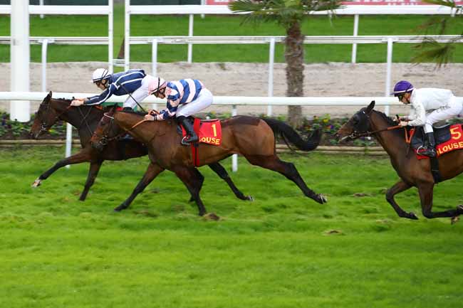 Photo d'arrivée de la course pmu PRIX DE LA VILLE DE CUGNAUX à TOULOUSE le Lundi 11 novembre 2019