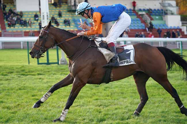 Photo d'arrivée de la course pmu PRIX COLONEL D'ENGLESQUEVILLE à COMPIEGNE le Lundi 11 novembre 2019