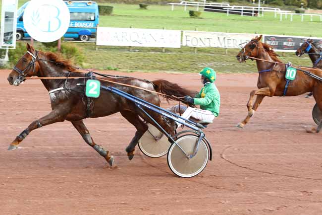 Photo d'arrivée de la course pmu PRIX JARDY à BORDEAUX-LE BOUSCAT le Mardi 12 novembre 2019