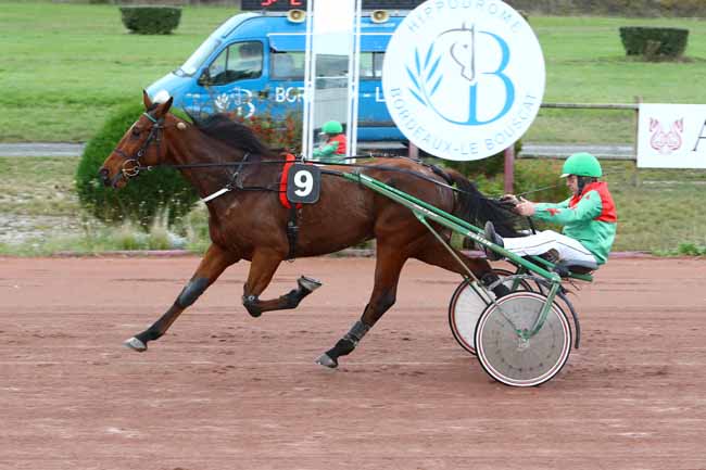 Photo d'arrivée de la course pmu PRIX JEAN-FRANCOIS MAURY à BORDEAUX-LE BOUSCAT le Mardi 12 novembre 2019