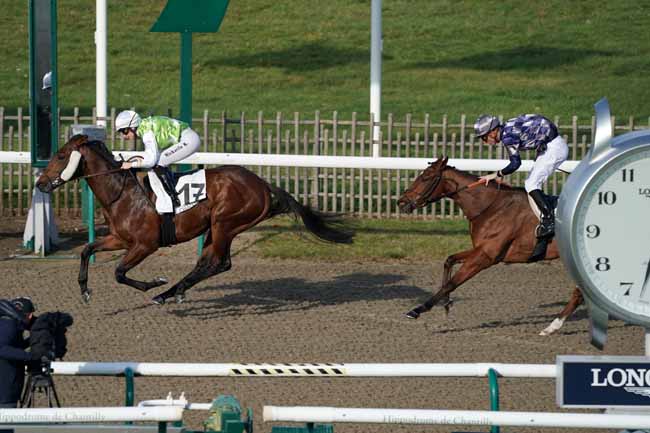 Photo d'arrivée de la course pmu PRIX DE CHARLEMONT à CHANTILLY le Mardi 12 novembre 2019