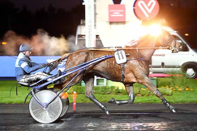 Photo d'arrivée de la course pmu PRIX LAETITIA à PARIS-VINCENNES le Mardi 12 novembre 2019