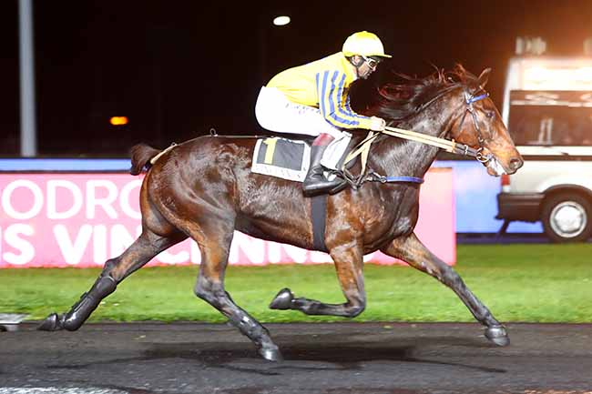 Photo d'arrivée de la course pmu PRIX MENKALINAN à PARIS-VINCENNES le Mardi 12 novembre 2019
