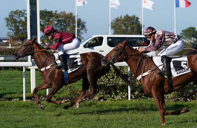Photo d'arrivée de la course pmu PRIX LORD MAGIQUE à ANGERS le Mercredi 13 novembre 2019
