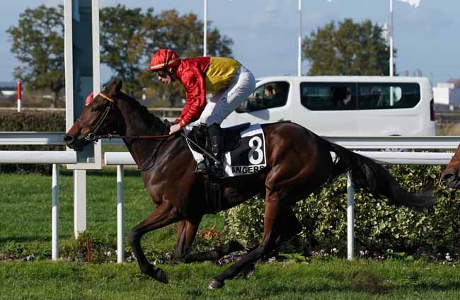 Photo d'arrivée de la course pmu PRIX CLAUDE MUNET - GRAND PRIX D'ANGERS à ANGERS le Mercredi 13 novembre 2019