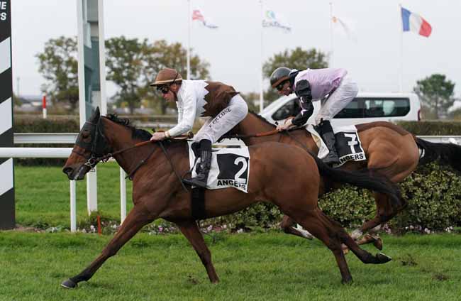 Photo d'arrivée de la course pmu PRIX DE BOUCHEMAINE à ANGERS le Mercredi 13 novembre 2019