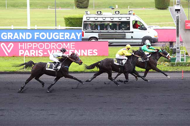 Photo d'arrivée de la course pmu PRIX DU GRAND FOUGERAY à PARIS-VINCENNES le Jeudi 14 novembre 2019