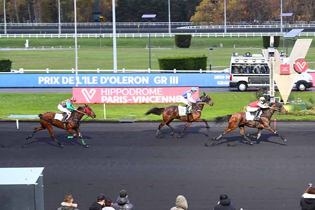 Photo d'arrivée de la course pmu PRIX DE L'ILE D'OLERON à PARIS-VINCENNES le Jeudi 14 novembre 2019