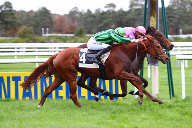 Photo d'arrivée de la course pmu PRIX DE LA TOUCHE AUX MULETS à FONTAINEBLEAU le Jeudi 14 novembre 2019