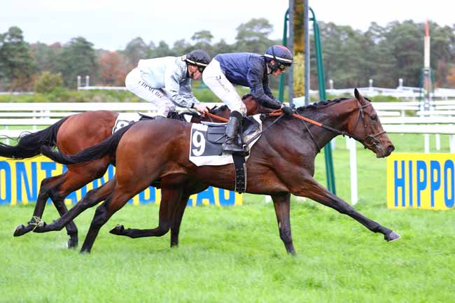 Photo d'arrivée de la course pmu PRIX DU MONT PIERREUX à FONTAINEBLEAU le Jeudi 14 novembre 2019