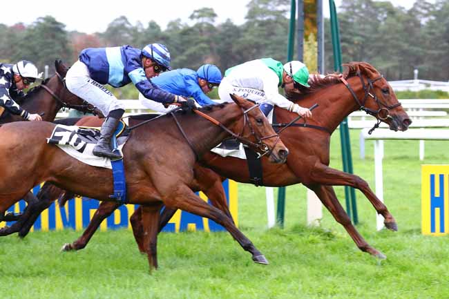 Photo d'arrivée de la course pmu PRIX CERES à FONTAINEBLEAU le Jeudi 14 novembre 2019