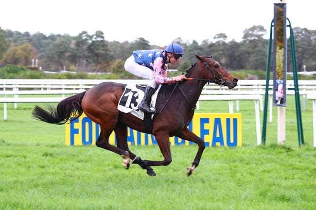 Photo d'arrivée de la course pmu PRIX DES CHEVREUILS à FONTAINEBLEAU le Jeudi 14 novembre 2019