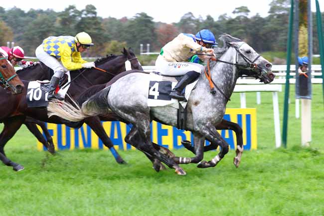 Photo d'arrivée de la course pmu PRIX DE VICHY à FONTAINEBLEAU le Jeudi 14 novembre 2019