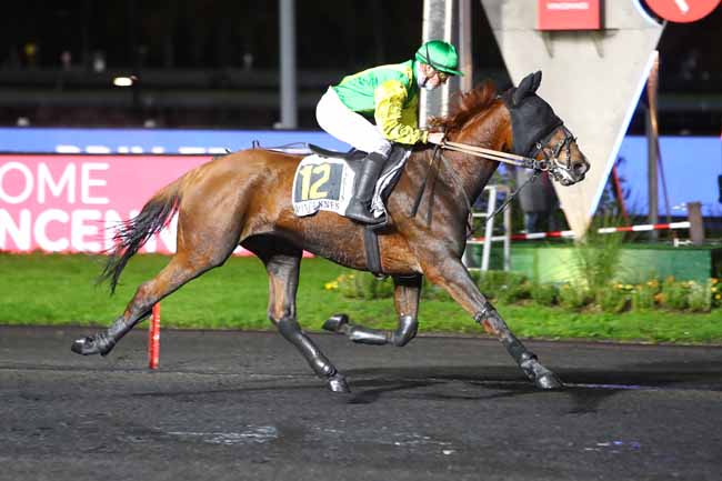 Photo d'arrivée de la course pmu PRIX FRIZZA à PARIS-VINCENNES le Vendredi 15 novembre 2019