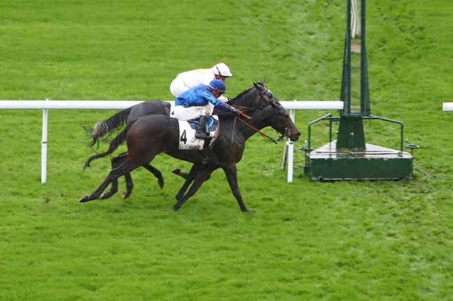 Photo d'arrivée de la course pmu PRIX URGENCE à SAINT-CLOUD le Vendredi 15 novembre 2019