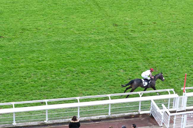 Photo d'arrivée de la course pmu PRIX FALZAREGO à AUTEUIL le Samedi 16 novembre 2019