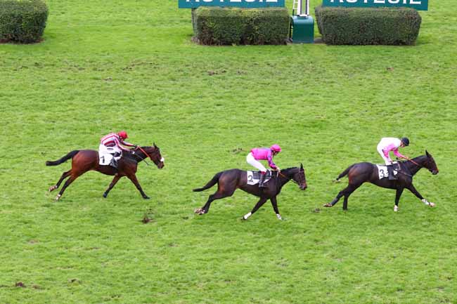 Photo d'arrivée de la course pmu PRIX THUYA à AUTEUIL le Samedi 16 novembre 2019