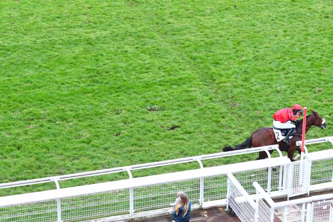 Photo d'arrivée de la course pmu PRIX DE BEAUGENCY à AUTEUIL le Samedi 16 novembre 2019