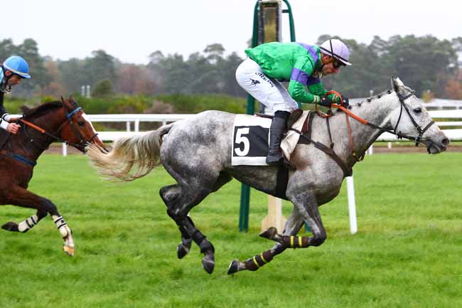 Photo d'arrivée de la course pmu PRIX COLONEL BEAUJEAN à FONTAINEBLEAU le Lundi 18 novembre 2019