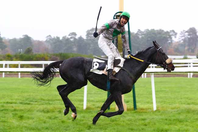Photo d'arrivée de la course pmu PRIX PLANET SUSHI à FONTAINEBLEAU le Lundi 18 novembre 2019