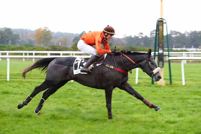 Photo d'arrivée de la course pmu PRIX PATRICE QUENEDEY à FONTAINEBLEAU le Lundi 18 novembre 2019