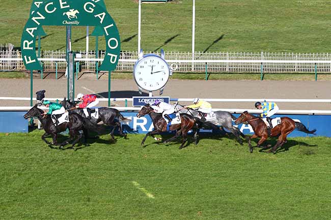 Photo d'arrivée de la course pmu PRIX DU HARAS D'OUILLY à CHANTILLY MATINEE le Mardi 19 novembre 2019
