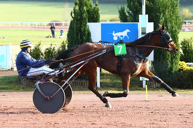 Photo d'arrivée de la course pmu PRIX ANDRE PERDRIX à MAUQUENCHY le Mercredi 20 novembre 2019