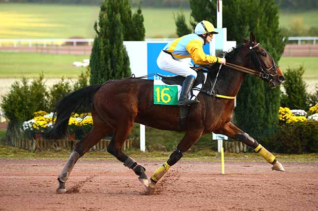 Photo d'arrivée de la course pmu PRIX JAGUAR à MAUQUENCHY le Mercredi 20 novembre 2019