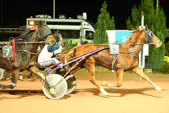 Photo d'arrivée de la course pmu PRIX JEAN MAIZERET à MAUQUENCHY le Mercredi 20 novembre 2019