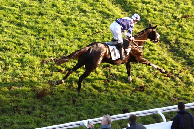 Photo d'arrivée de la course pmu PRIX JEAN SENS à AUTEUIL le Mercredi 20 novembre 2019