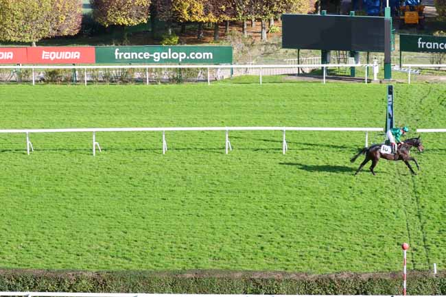 Photo d'arrivée de la course pmu PRIX KANTAR à SAINT-CLOUD le Vendredi 22 novembre 2019