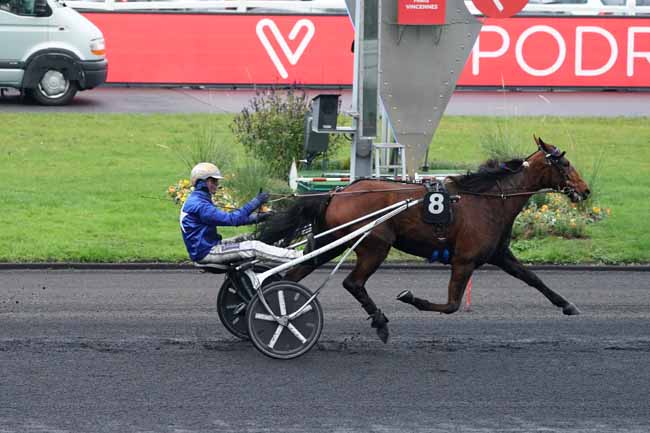 Photo d'arrivée de la course pmu PRIX ANNICK DREUX à PARIS-VINCENNES le Samedi 23 novembre 2019