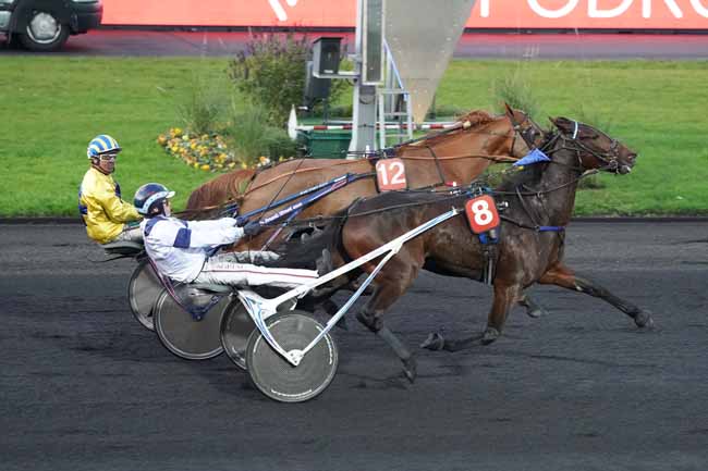 Photo d'arrivée de la course pmu PRIX DE BAGNOLES-DE-L'ORNE à PARIS-VINCENNES le Samedi 23 novembre 2019