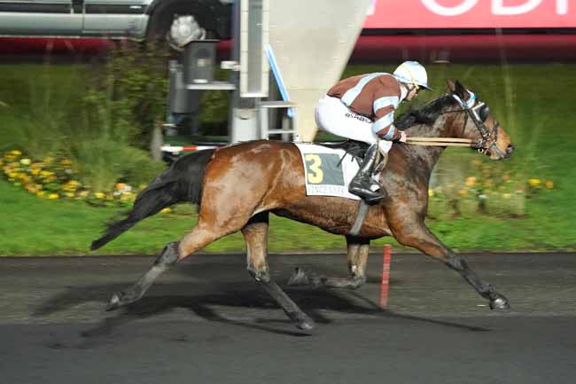 Photo d'arrivée de la course pmu PRIX DE LA CLAYETTE à PARIS-VINCENNES le Samedi 23 novembre 2019
