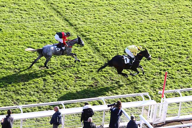 Photo d'arrivée de la course pmu PRIX ANDRE MICHEL à AUTEUIL le Dimanche 24 novembre 2019