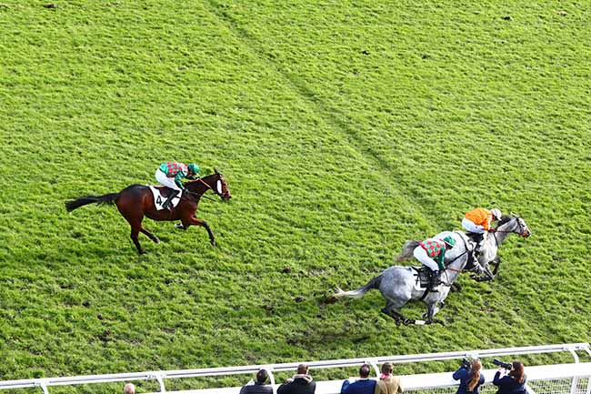 Photo d'arrivée de la course pmu PRIX LEON OLRY-ROEDERER à AUTEUIL le Dimanche 24 novembre 2019