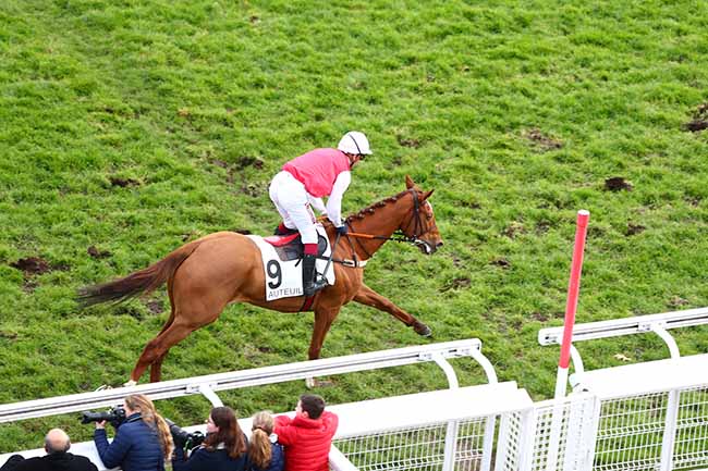 Photo d'arrivée de la course pmu PRIX FIFRELET à AUTEUIL le Dimanche 24 novembre 2019