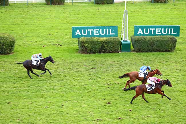 Photo d'arrivée de la course pmu PRIX GEORGES COURTOIS à AUTEUIL le Dimanche 24 novembre 2019