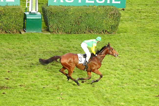 Photo d'arrivée de la course pmu PRIX JEAN LAUMAIN à AUTEUIL le Dimanche 24 novembre 2019