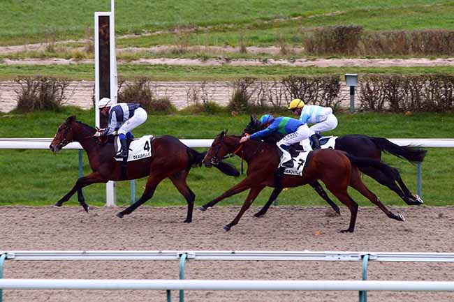Photo d'arrivée de la course pmu PRIX HERNANDO à DEAUVILLE le Mardi 26 novembre 2019